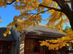 -红螺寺
