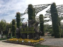 -武清南湖绿博园