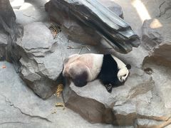 -宁波野生动物园