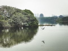 -海珠湖公园