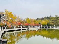 -大连植物园