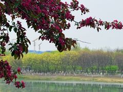 -大兴滨河森林公园