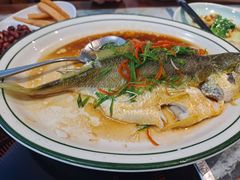 -广东大排档(国奥店)