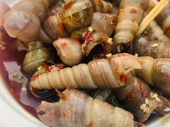 辣炒牛眼螺-海大南门夜市(海富街店)