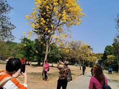 -华南国家植物园-售票处