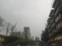-邓氏兔头