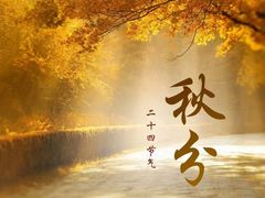 -裕和堂中医推拿艾灸(太古汇臻品店)