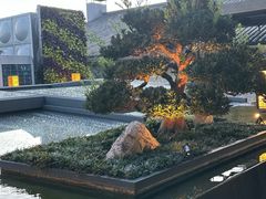 -外滩·云南人家(昆明旗舰店)