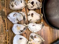 -土蚝·高压锅生蚝(百姓美食街店)