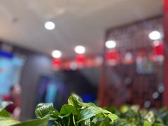 -东来顺饭庄·火锅(环岛店)