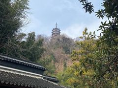 -焦山风景区