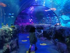 -沈阳海洋探索中心