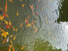 -西安华清御汤酒店