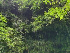 -海口火山口国家地质公园