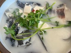 -宝荣鱼馆·临湖之宴(千岛湖店)