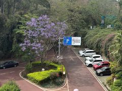 -攀枝花公园