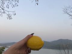 -天目湖涵田半山温泉