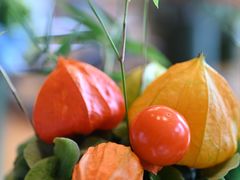 -广州富力君悦大酒店空中花园