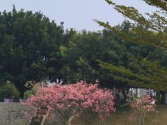 -风云岭森林公园
