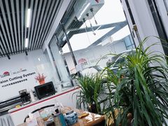 -龙膜全球臻选店·汽车贴膜·隐形车衣