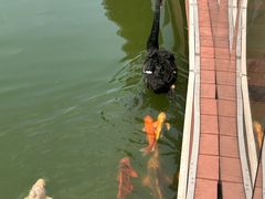 -春晖园度假酒店温泉