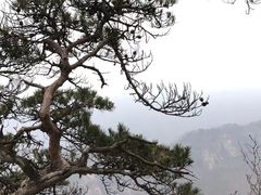 -丹东凤凰山景区