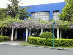 -上海市世外小学