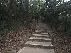 -广州市帽峰山景区