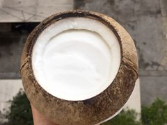 -椰爺爺·椰子冻砵仔糕