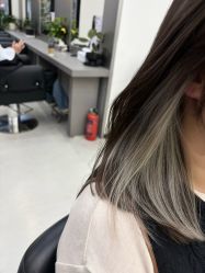 -蚂蚁造型俱乐部