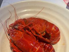 -肥肥虾庄·金牌油焖大虾(汉街SKP店)