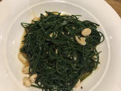 -老阿妈蒙古村·蒙古包·草原文化·歌舞表演(老君堂店)