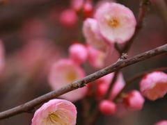 -东林广场(地铁站)