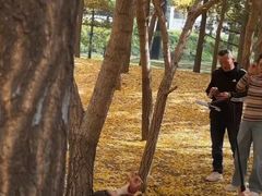 -森林公园(尖草坪区)