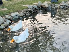 -HERRE·FARM 赫尔露营农场·团建聚会包场