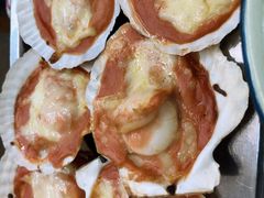 经典芝士扇贝-炒豆合作社(东四总店)