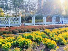-黑龙江省森林植物园