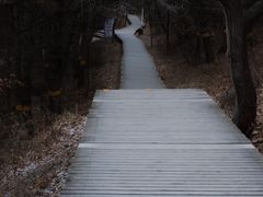 -帽儿山国家森林公园