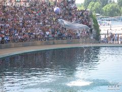 -秦皇岛乐岛海洋王国