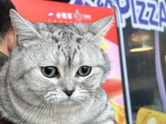 -必胜客(江东万达店)