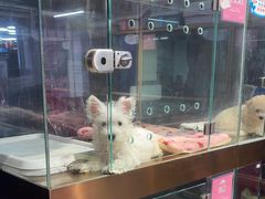 -FAELING PETS美天灵宠物(富力广场店)
