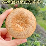 人生建议想减肥的妹子人手一箱📦