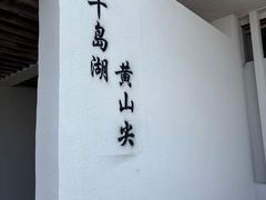 -千岛湖东南湖区