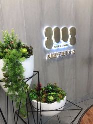 -八佰伴8008星级形象店