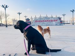 -天津妈祖文化园