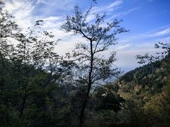 -青岛铁橛山风景区