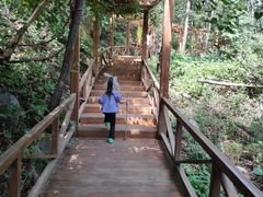 -大岭沟猕猴桃谷风景区