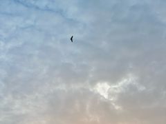 -大螃蟹海鲜餐厅