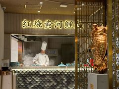 -阿五黄河大鲤鱼(海尚店)