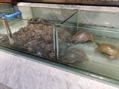 -川骄海鲜自助(河东店)